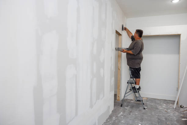 Best Environmental Consulting for Mold Prevention  in Mont Alto, PA