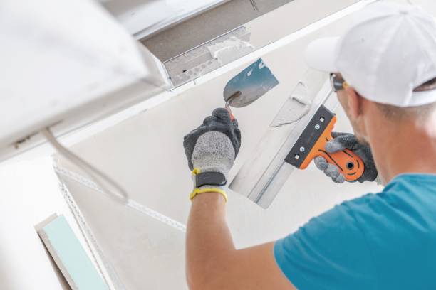 Environmental Consulting for Mold Prevention in Mont Alto, PA